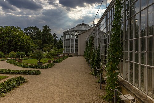Palmenhaus Pillnitz, Dresden, Sachsen — Palmenhaus Pillnitz