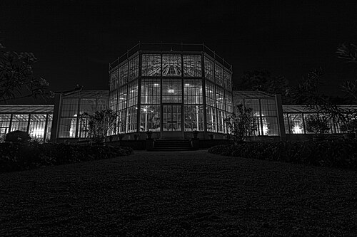 Palmenhaus Pillnitz, Dresden, Sachsen — Pillnitz Palmenhaus bei Nacht