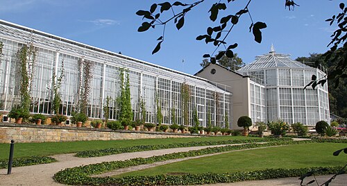 Palmenhaus de Pillnitz, Dresde, Saxe — Greenhouse in the park of Pillnitz Castle
