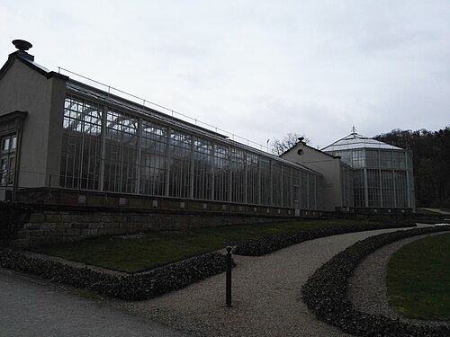 Palmenhaus de Pillnitz, Dresde, Saxe — Palmenhaus im Schlosspark Pillnitz