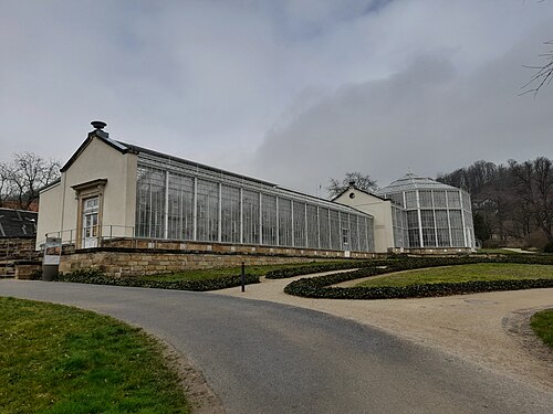 Palmenhaus de Pillnitz, Dresde, Saxe — Palmenhaus (Pillnitz)