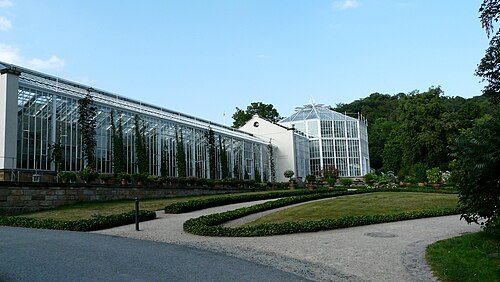 Palmenhaus de Pillnitz, Dresde, Saxe — Palmenhaus