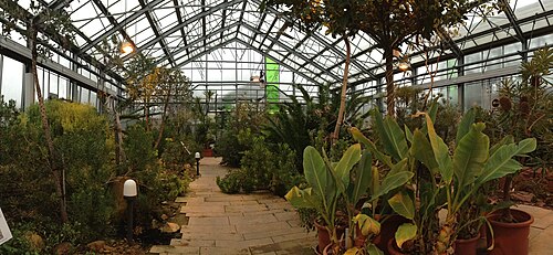 Kuppelgewächshaus du Jardin botanique de l'université de Düsseldorf, Düsseldorf, Rhénanie-du-Nord-Westphalie — Botanischer Garten Düsseldorf - Südafrika-Gewächshaus