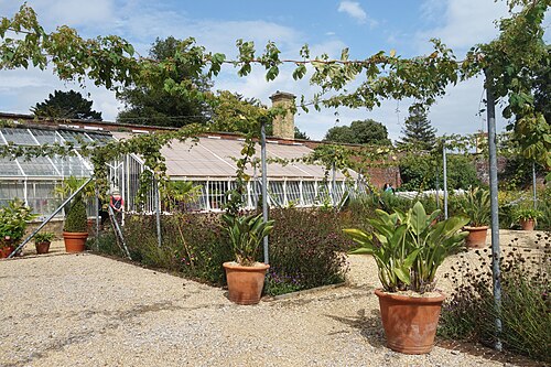 オズボーン・ハウスの塀に囲まれた庭園の温室群, イースト・カウズ、ワイト島（イングランド） — In the Walled Garden, Osborne House