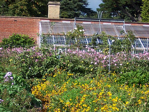 オズボーン・ハウスの塀に囲まれた庭園の温室群, イースト・カウズ、ワイト島（イングランド） — The Walled Garden, at Osborne House , Isle of Wight , seen in September 2007. Rosemary…