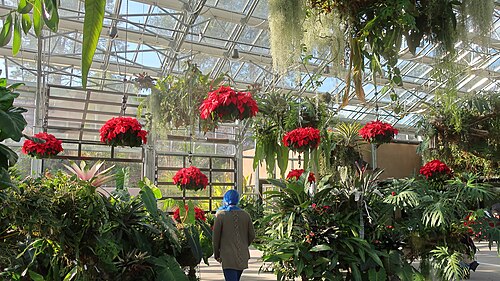 Dickinson Family Education Conservatory (San Diego Botanic Garden), Encinitas, Kalifornien — Photographs taken at the San Diego Botanic Garden, December 11, 2020