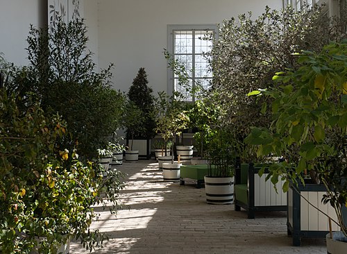 シュロス・ホーフのオランジェリー(Orangerie Schloss Hof), 下オーストリア州エンゲルハルツシュテッテン — シュロス・ホーフのオランジェリー(Orangerie Schloss Hof) — 6枚目