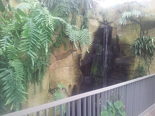 Danakil (Wüsten- und Dschungelhaus, egapark), Erfurt, Thüringen — Egapark Erfurt Danakil 050 Urwaldteil