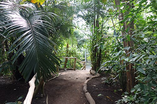 Pflanzenschauhäuser im Grugapark, Essen, Nordrhein-Westfalen — Die Pflanzenschauhäuser im Grugapark Essen