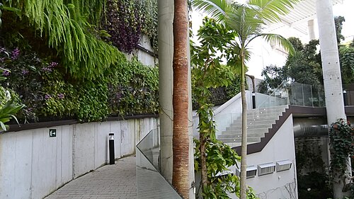 Orchidarium d'Estepona (Orquidario de Estepona), Estepona, Andalousie — Orchidarium Estepona