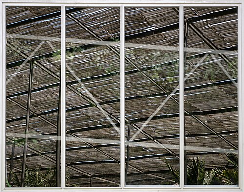 Estufa Fria, Lissabon — Greenhouse roof reflection on a window, Estufa Fria, Lisbon, Portugal