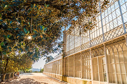 Großes Gewächshaus des Botanischen Gartens von Coimbra, Coimbra — This picture was taken in the Botanical Garden of the University of Coimbra.
