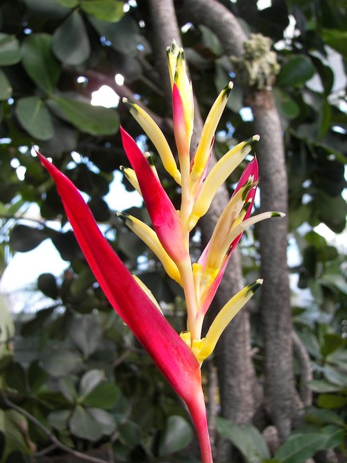Amazonia, Mesker Park Zoo & Botanic Garden, Evansville, Indiana — photo 2