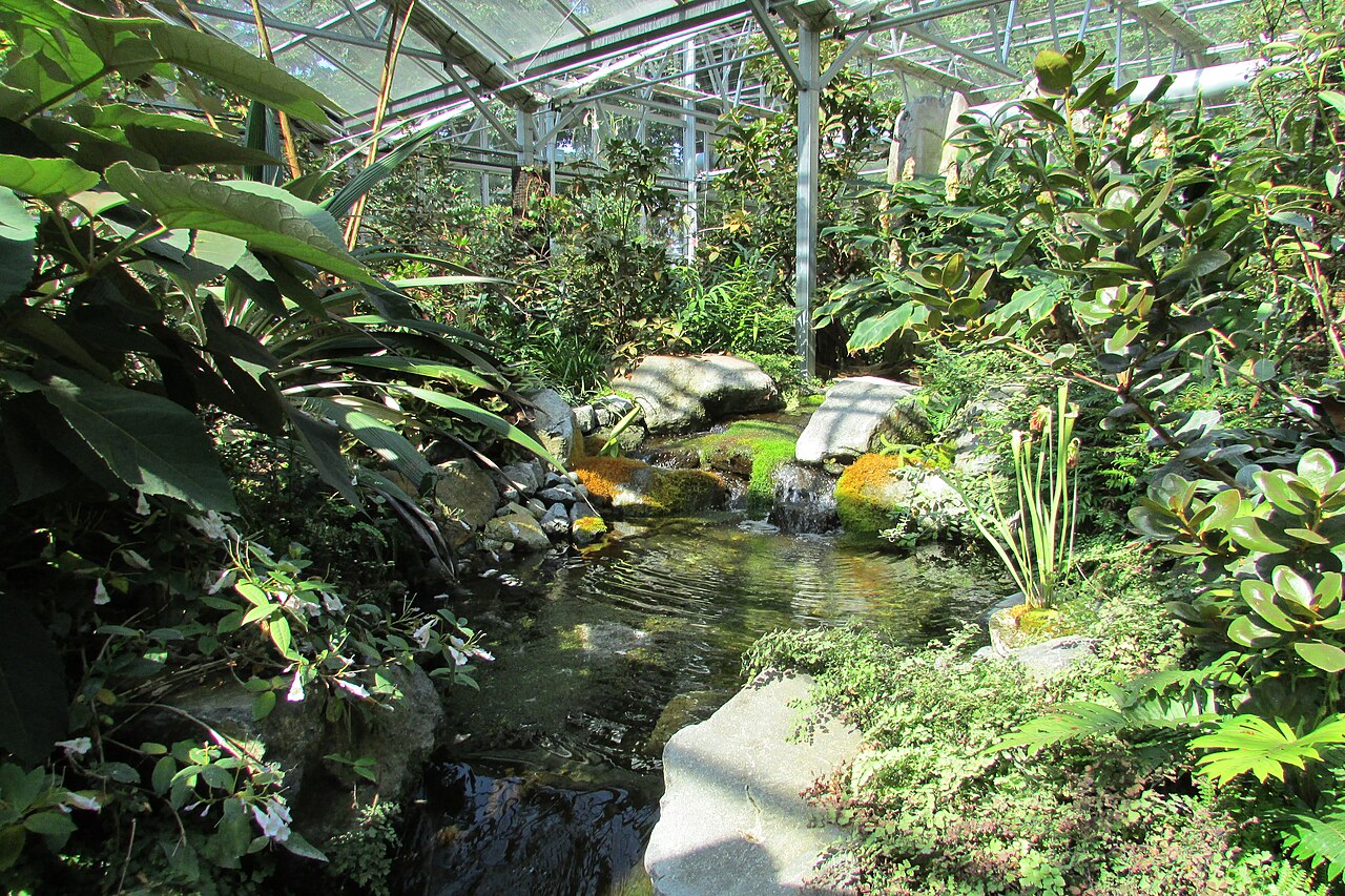 Rutherford Conservatory (Rhododendron Species Botanical Garden), Federal Way, Washington — Rutherford Conservatory — Ansicht 3