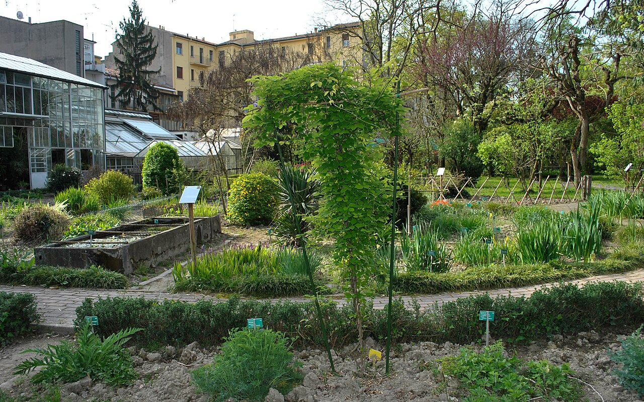 フェラーラ大学植物園(オルト・ボタニコ)の温室群, フェラーラ、エミリア=ロマーニャ州 — Interno dell'orto Botanico dell'Università di Ferrara situato nel giardino di Palazzo…