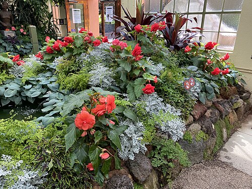 Fitzroy Gardens Conservatory, Melbourne, Victoria — Fitzroy Gardens Conservatory — Ansicht 6