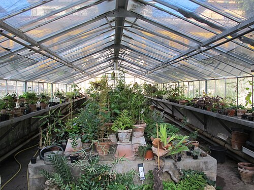 ジャルディーノ・デイ・センプリチの温室(フィレンツェ植物園), フィレンツェ、トスカーナ — Giardino dei semplici, serra