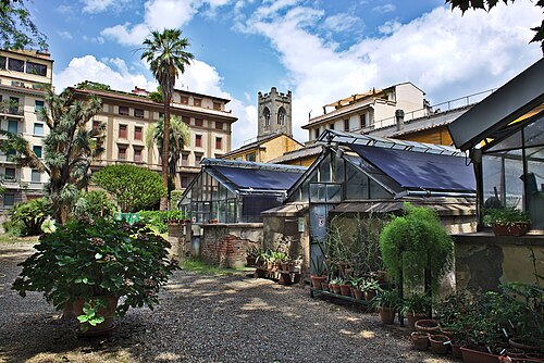 ジャルディーノ・デイ・センプリチの温室(フィレンツェ植物園), フィレンツェ、トスカーナ — Orto Botanico Florence