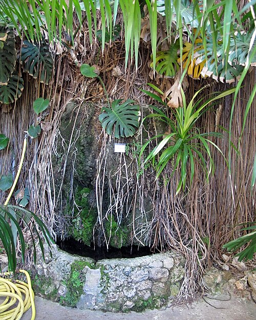 ジャルディーノ・デイ・センプリチの温室(フィレンツェ植物園), フィレンツェ、トスカーナ — Orto Botanico di Firenze