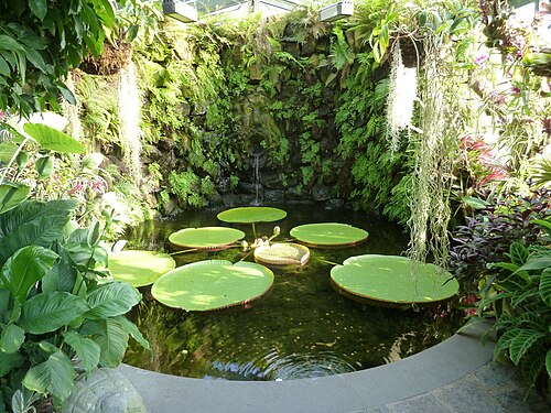 Victoria House und Orchideenhaus, Giardini La Mortella, Forio, Ischia (Neapel), Kampanien — La Mortella Gardens. Victoria house
