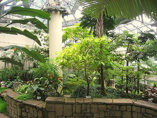 Forsgate Conservatory, Hongkong — Forsgate Conservatory — Ansicht 2