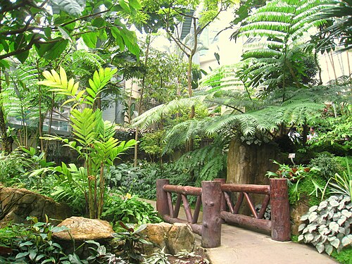 Forsgate Conservatory, Hongkong — Forsgate Conservatory — Ansicht 3