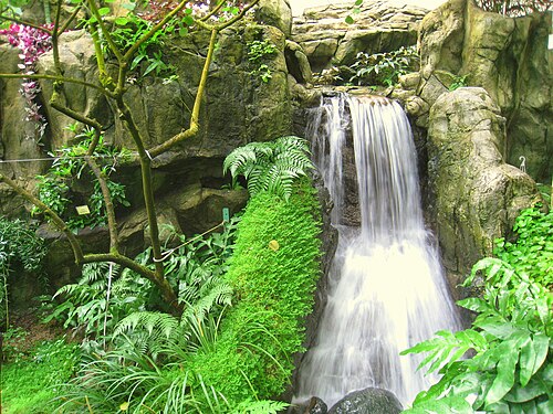 Forsgate Conservatory, Hongkong — Forsgate Conservatory — Ansicht 4