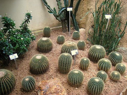Forsgate Conservatory, Hongkong — Forsgate Conservatory — Ansicht 5