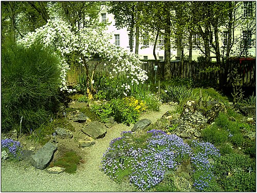 Schaugewächshäuser, Botanischer Garten Freiburg, Freiburg im Breisgau, Baden-Württemberg — April Botanic Garden Freiburg - Master Botany Photography 2014