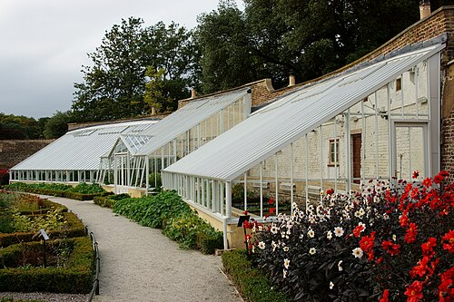 Weinhaus (Vinery, pinery-vinery), ummauerter Garten des Fulham Palace, Fulham, London (London Borough of Hammersmith and Fulham) — Greenhouses at Fulham Palace, London