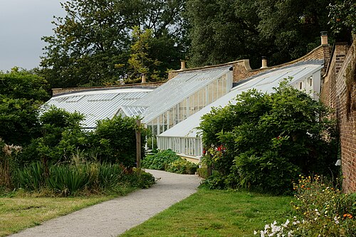 Weinhaus (Vinery, pinery-vinery), ummauerter Garten des Fulham Palace, Fulham, London (London Borough of Hammersmith and Fulham) — Inside the Walled Garden, Fulham Palace, London