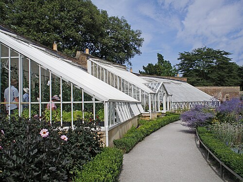 Weinhaus (Vinery, pinery-vinery), ummauerter Garten des Fulham Palace, Fulham, London (London Borough of Hammersmith and Fulham) — Weinhaus (Vinery, pinery-vinery), ummauerter Garten des Fulham Palace — Ansicht 4