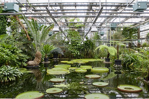 ヘント大学植物園の温室群（Plantentuin UGent）, 東フランデレン州ヘント — Foto van de Plantentuin van de Universiteit Gent. Foto gedoneerd door UGentMemorie .…