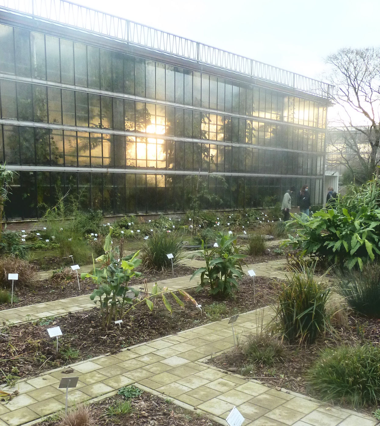 ヘント大学植物園の温室群（Plantentuin UGent）, 東フランデレン州ヘント — Hortvs Botanicvs Gandavensis
