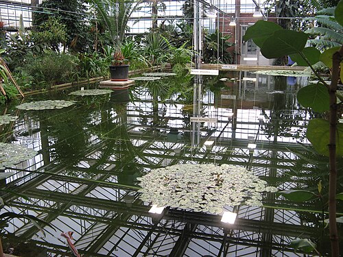 ヘント大学植物園の温室群（Plantentuin UGent）, 東フランデレン州ヘント — Ghent