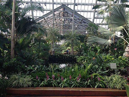 Garfield Park Conservatory, Chicago — inside Garfield Park Conservatory