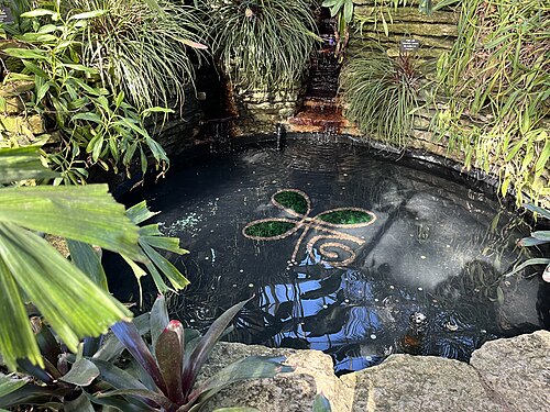 Garfield Park Conservatory, Chicago — The inside of the Garfield Park Conservatory in Chicago in March 2024.