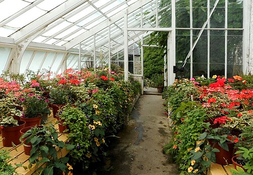 Gewächshaus von Mackenzie & Moncur, ummauerter Garten von Geilston Garden, Cardross, Argyll and Bute (Schottland) — Gewächshaus von Mackenzie & Moncur, ummauerter Garten von Geilston Garden — Ansicht 3