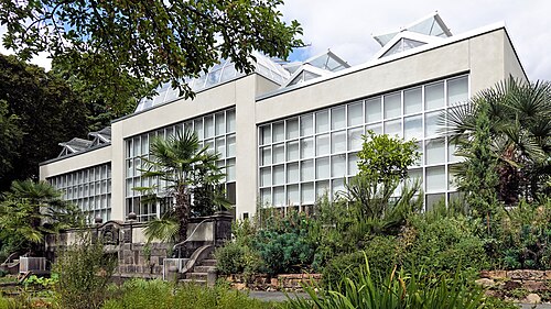 Gewächshäuser des Botanischen Gartens Gießen (Palmenhaus, Ernst-Küster-Haus, Victoria-Haus), Gießen, Hessen — Palmenhaus im Botanischen Garten Gießen