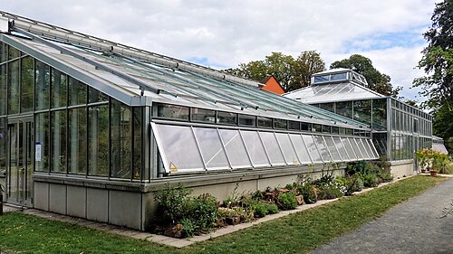 Gewächshäuser des Botanischen Gartens Gießen (Palmenhaus, Ernst-Küster-Haus, Victoria-Haus), Gießen, Hessen — Ernst-Küster-Gewächshaus im Botanischen Garten Gießen