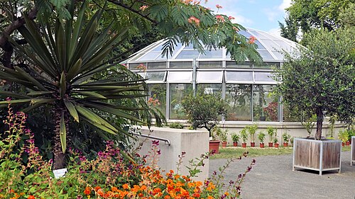 Gewächshäuser des Botanischen Gartens Gießen (Palmenhaus, Ernst-Küster-Haus, Victoria-Haus), Gießen, Hessen — Victoriahaus im Botanischen Garten Gießen