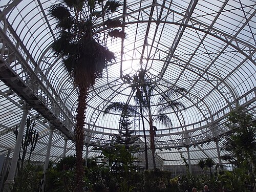 ピープルズ・パレスとウィンターガーデン, グラスゴー・グリーン、グラスゴー、スコットランド — Winter gardens, People's Palace
