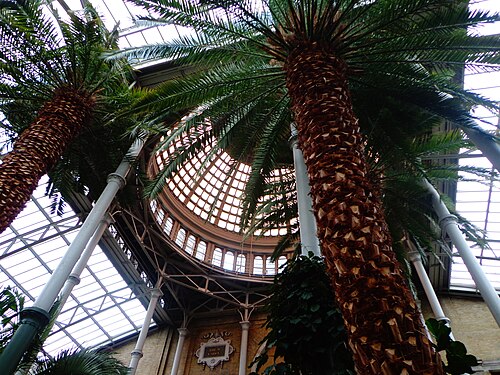 Vinterhaven, the Winter Garden of the Ny Carlsberg Glyptotek, Copenhagen, Capital Region — Pictures taken in Copenhagen, Denmark, November 2013