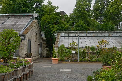 Gewächshäuser des Alten Botanischen Gartens, Göttingen, Göttingen, Niedersachsen — Gewächshäuser im Alten Botanischen Garten in Göttingen.