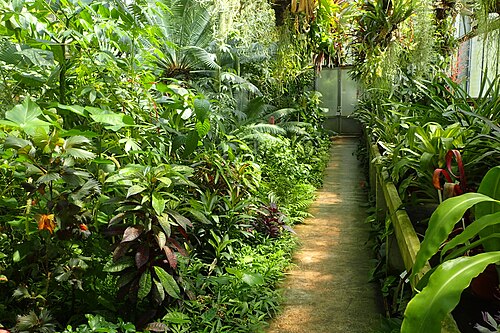 Gewächshäuser des Alten Botanischen Gartens, Göttingen, Göttingen, Niedersachsen — Gewächshäuser des Alten Botanischen Gartens, Göttingen — Ansicht 5