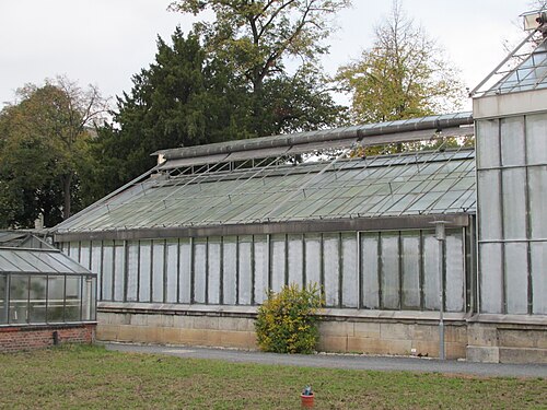Gewächshäuser des Alten Botanischen Gartens, Göttingen, Göttingen, Niedersachsen — das Cycadeenhaus im Alten Botanischen Garten der Georg-August-Universität in Göttingen