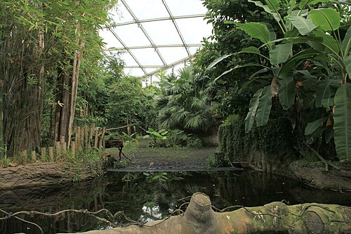 Gondwanaland, Zoo Leipzig, Leipzig, Sachsen — Gondwanaland im Zoo von Leipzig