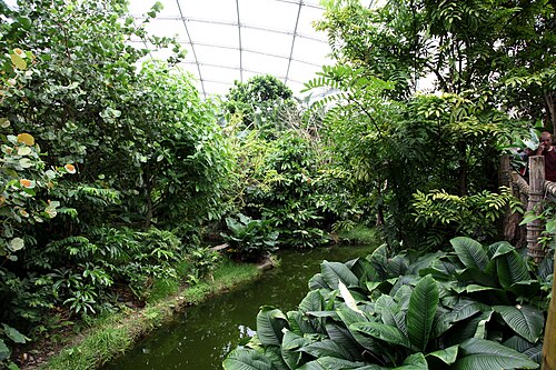 Gondwanaland, Zoo Leipzig, Leipzig, Sachsen — Gondwanaland — Ansicht 5
