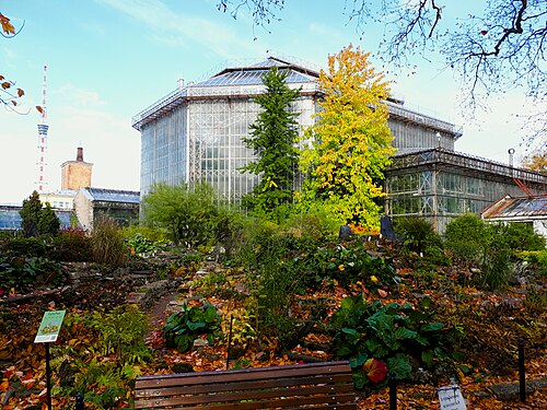 ピョートル大帝植物園のパームハウス, サンクトペテルブルク — Botanical Garden of Peter the Great: Professor Popov Street, 2. Petrogradsky District…