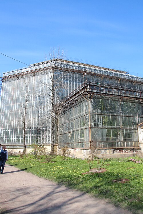 ピョートル大帝植物園のパームハウス, サンクトペテルブルク — ピョートル大帝植物園のパームハウス — 3枚目
